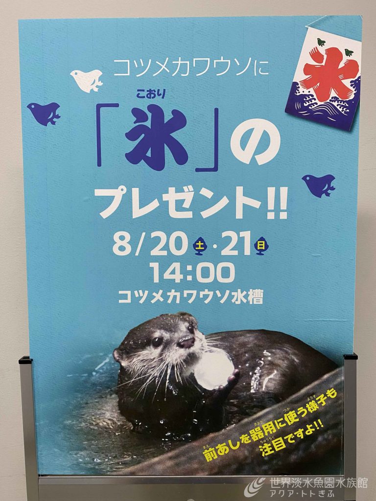 真夏の冷た～いプレゼント！