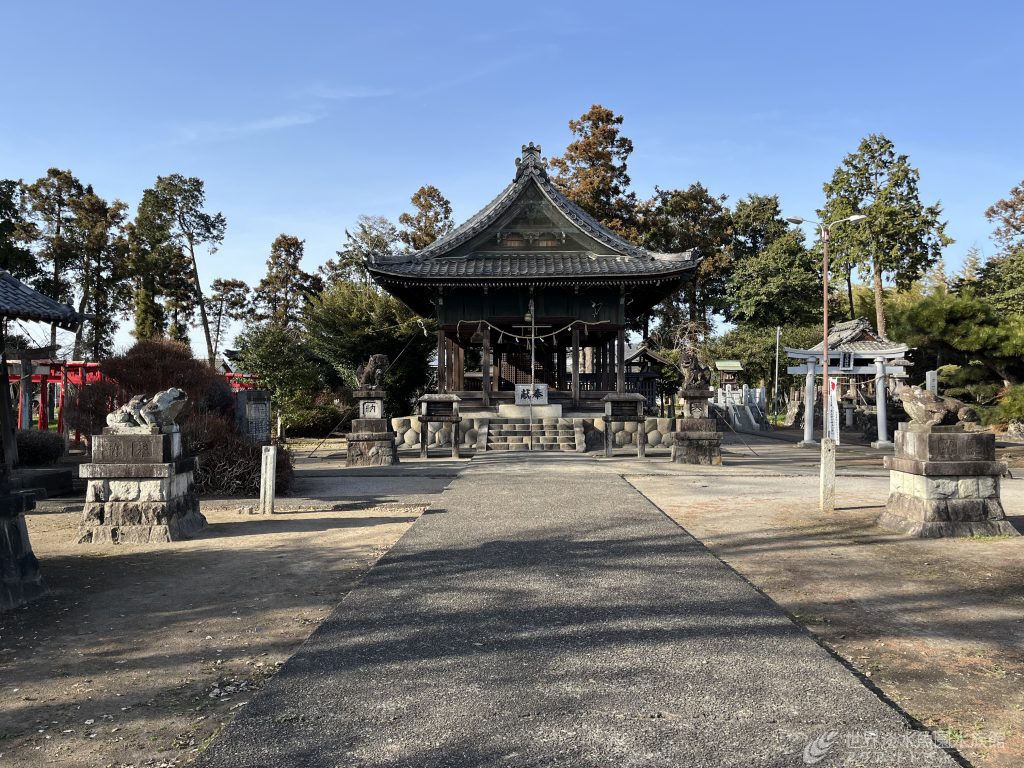 狛ガエルがいる神社