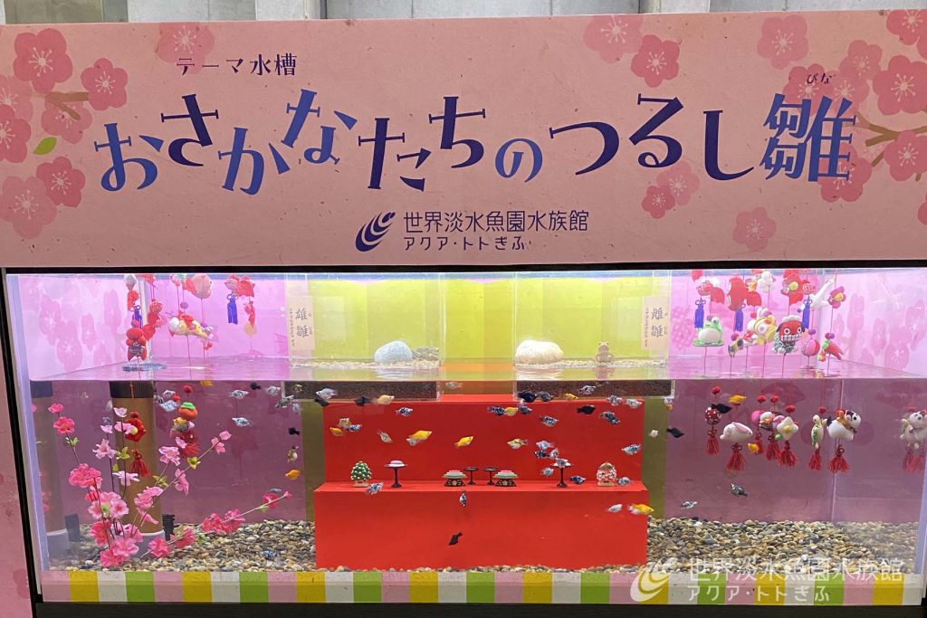 ひな祭り！！