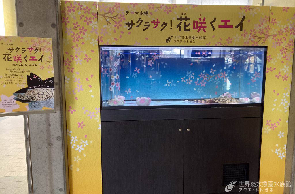花柄模様のエイ