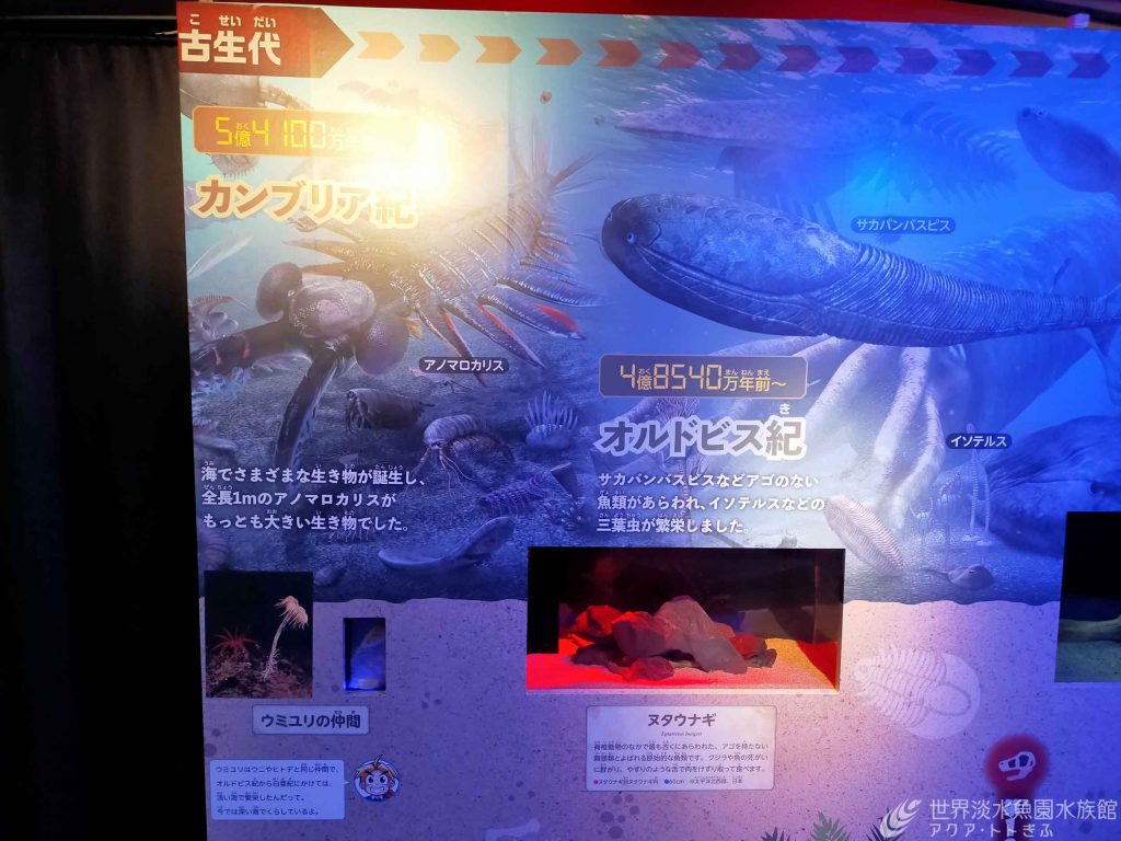 古代生物がやってきた！　