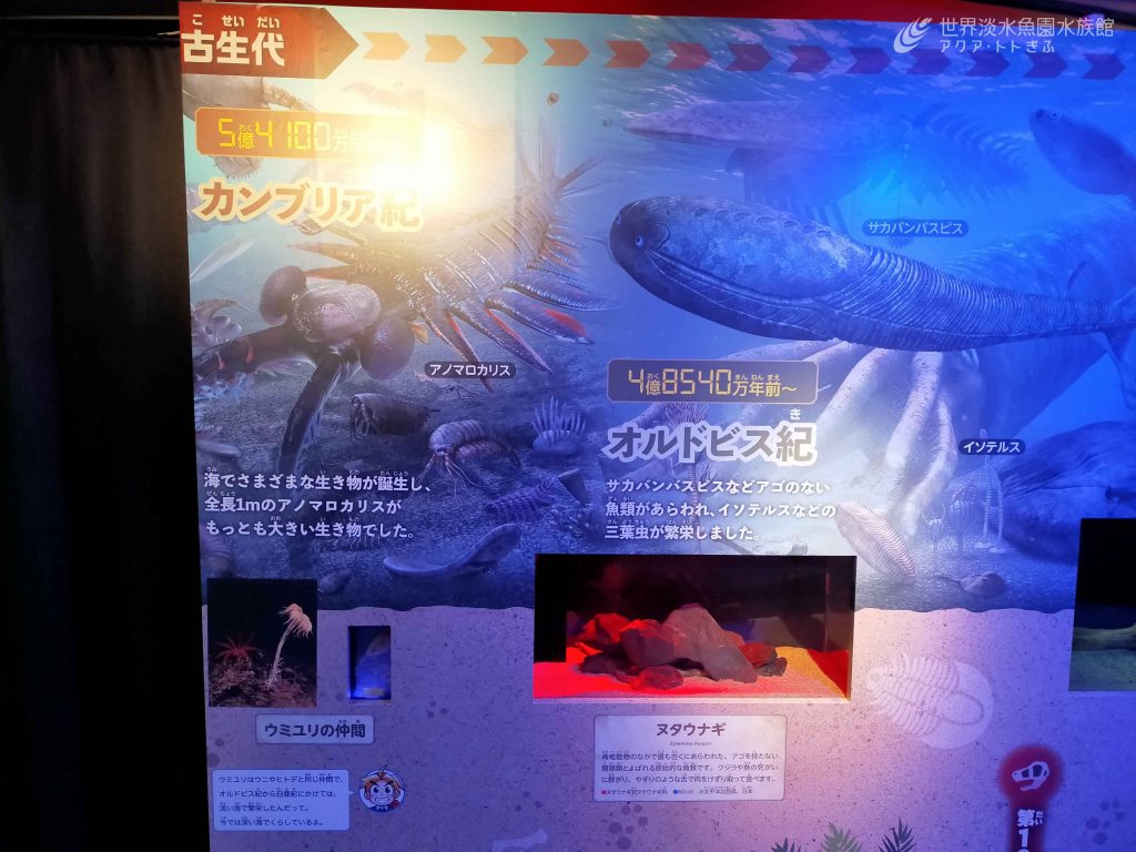 古代生物がやってきた！～工作も楽しい～
