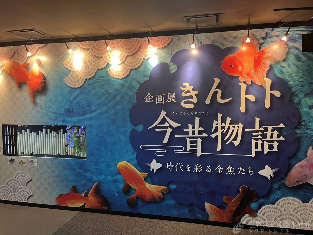 美濃和紙で彩るアクア・トトの金魚展