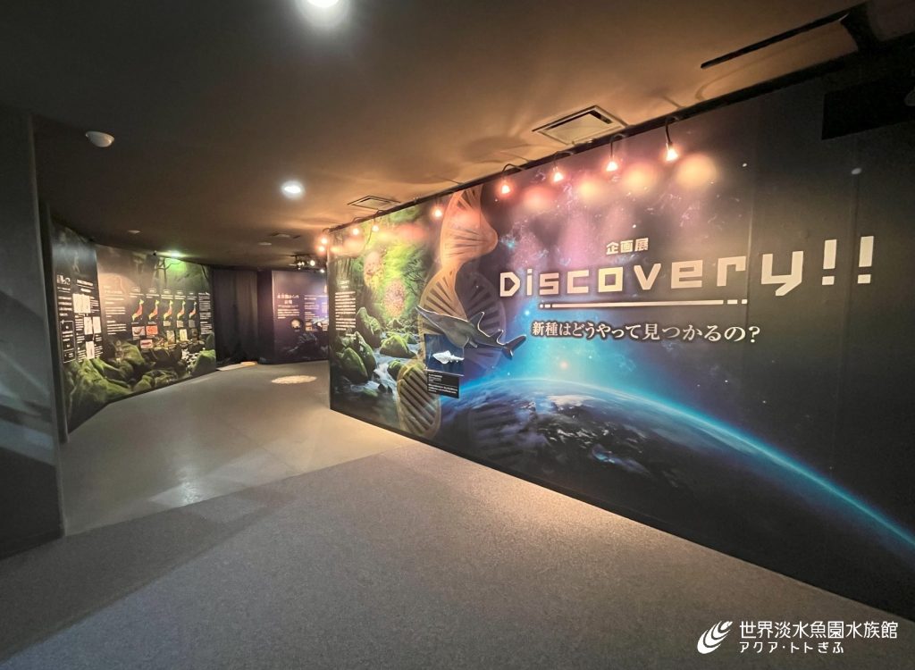 Discovery！！　新しい企画展がはじまりました