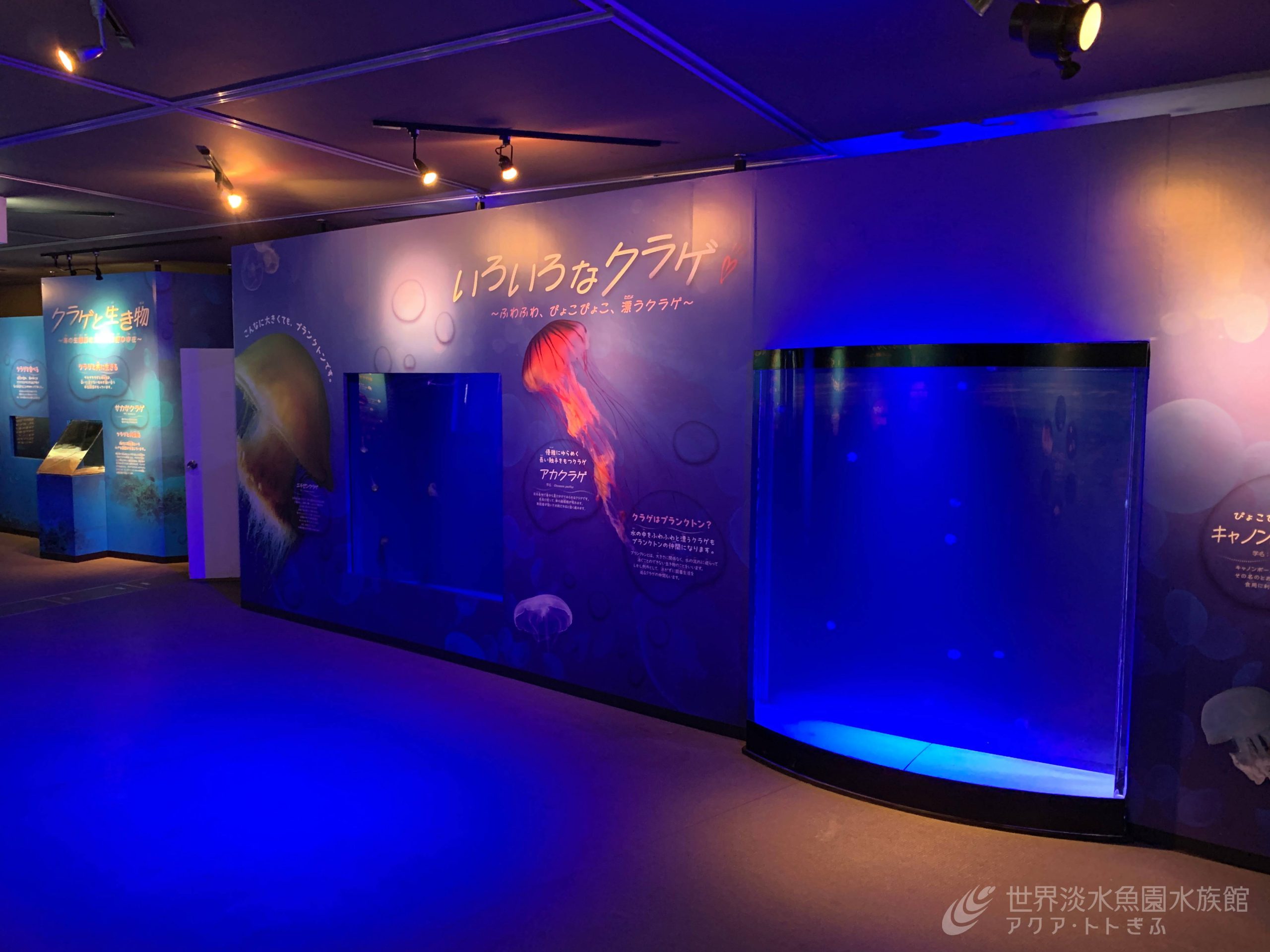 ついにスタートです！｜世界淡水魚園水族館 アクア・トト ぎふ - 岐阜