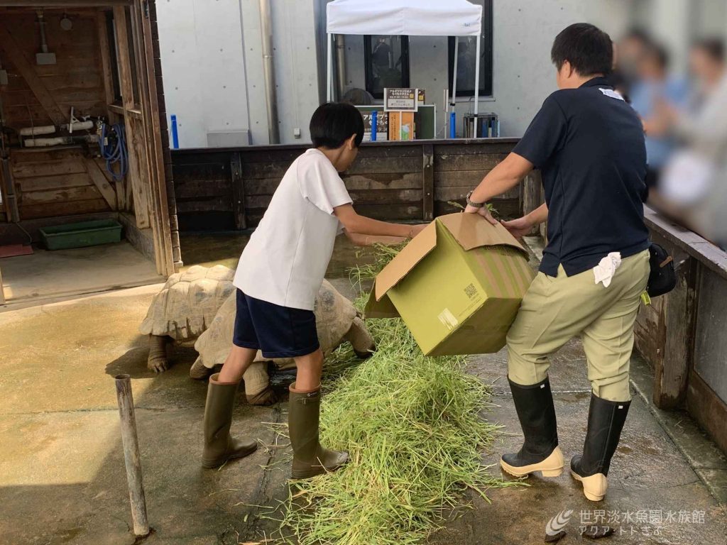 職場体験