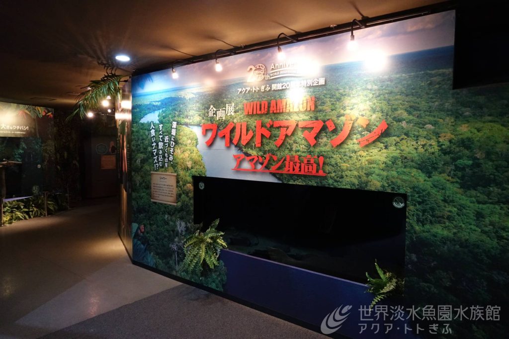 企画展「ワイルドアマゾン」終了後の生き物たち