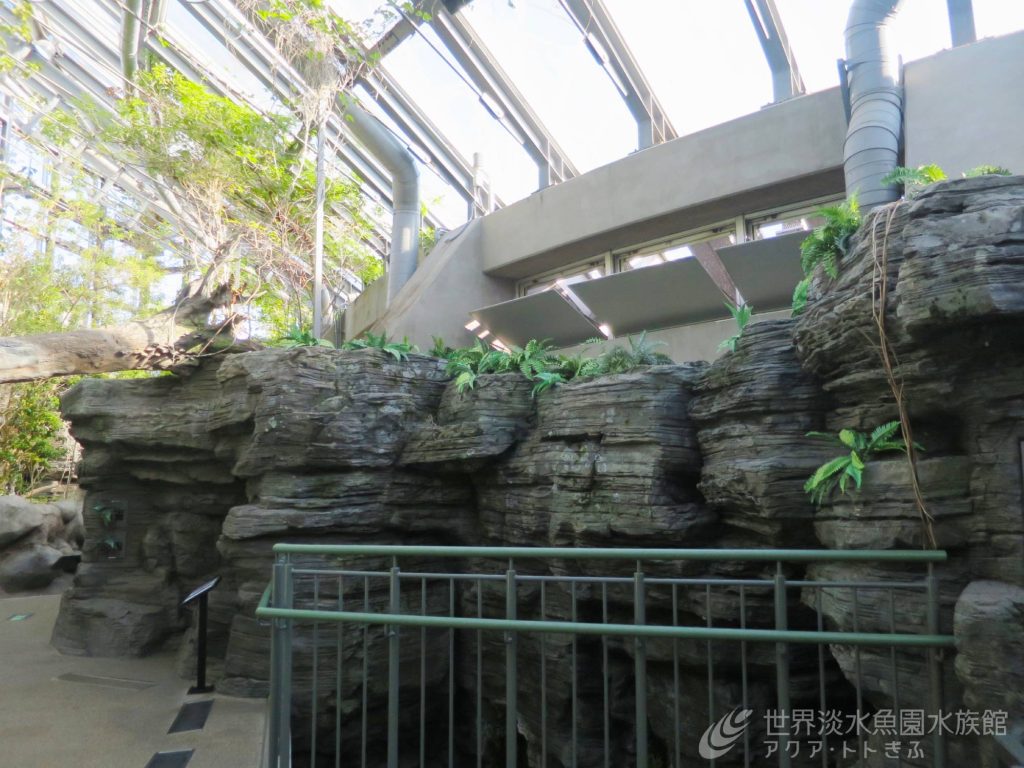 4階の植物も見どころ