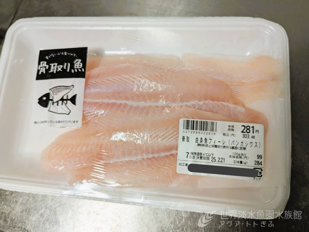 パンがなければパンガシウスを食べればいいじゃない