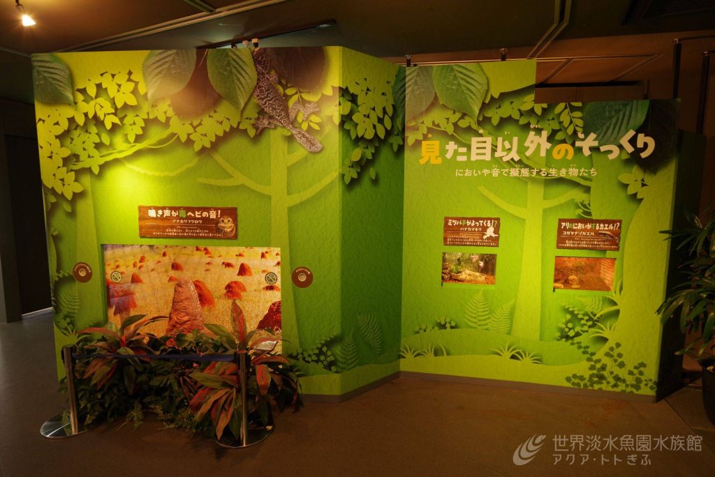 そっくりないきもの展　見どころその2