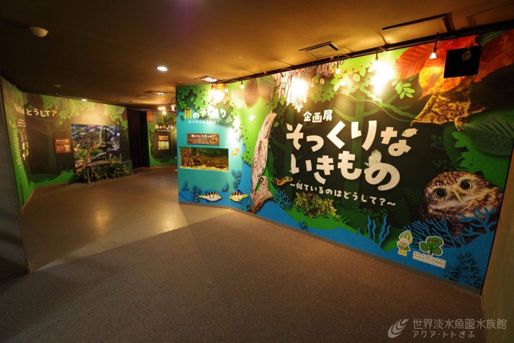 企画展『そっくりないきもの』はじまりました！