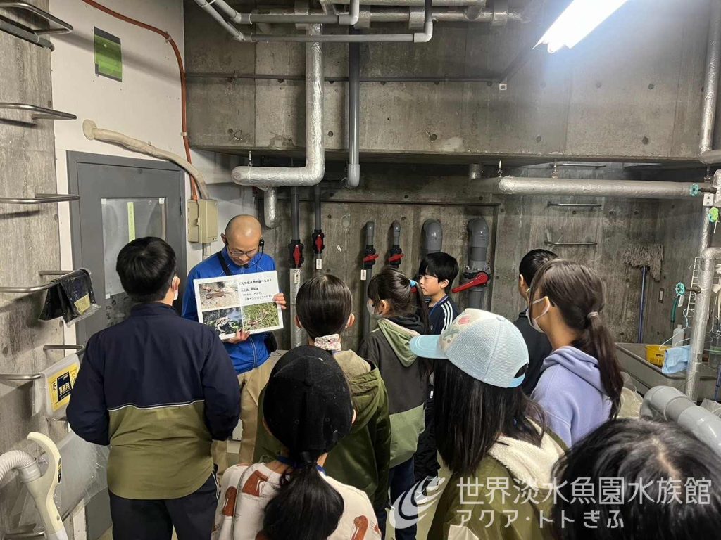 水族館の裏側を見学しよう！
