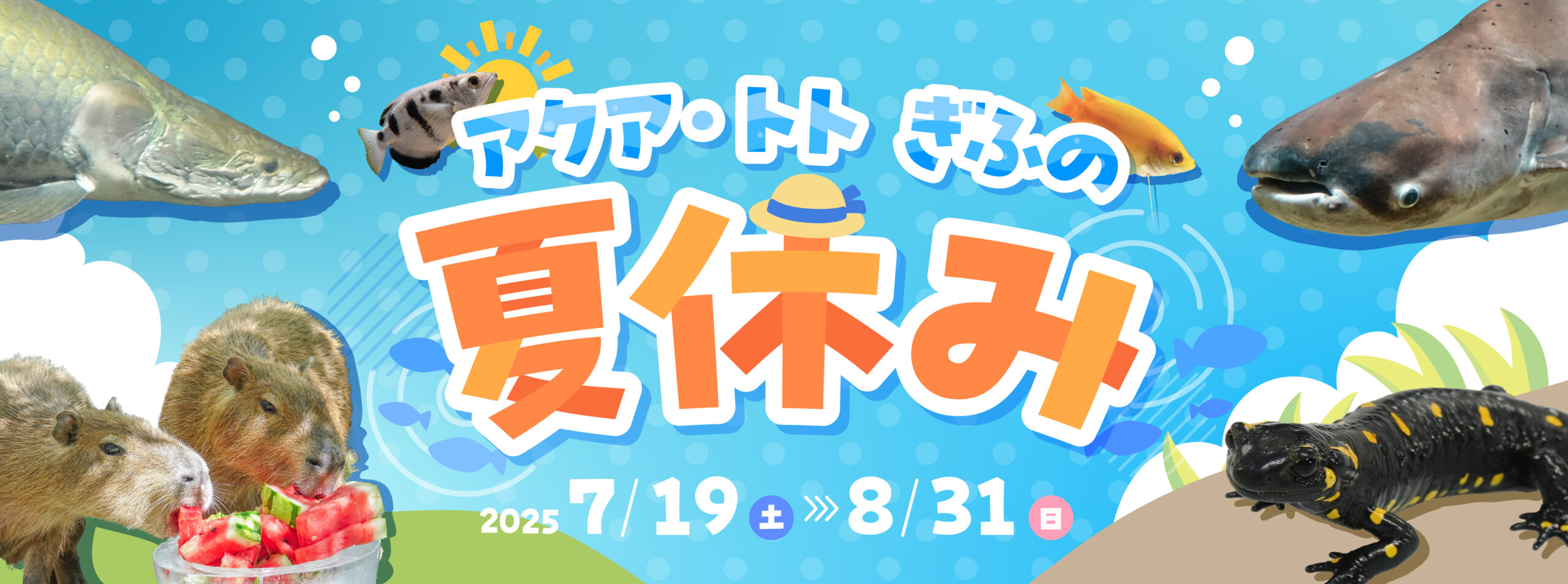 アクア・トト ぎふの夏休み