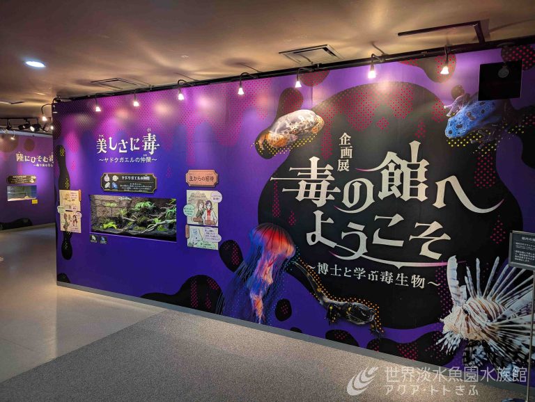 企画展「毒の館へようこそ～博士と学ぶ毒生物～」