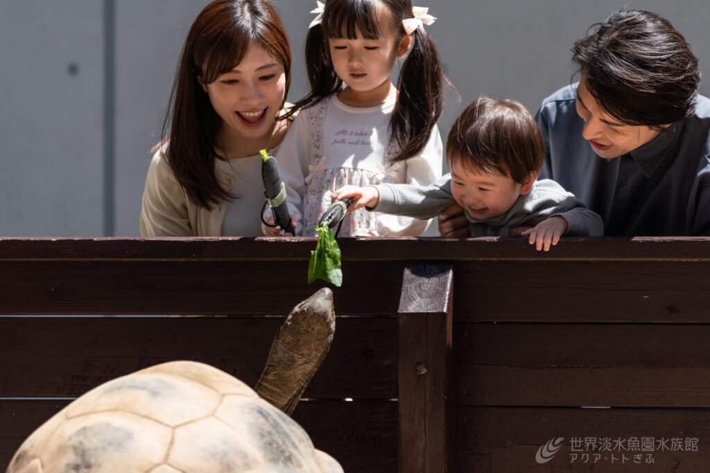 アルダブラゾウガメもぐもぐタイム