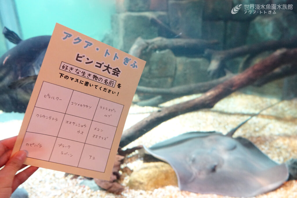 《年パス会員様限定》アクア・トト ぎふ　ビンゴ大会！