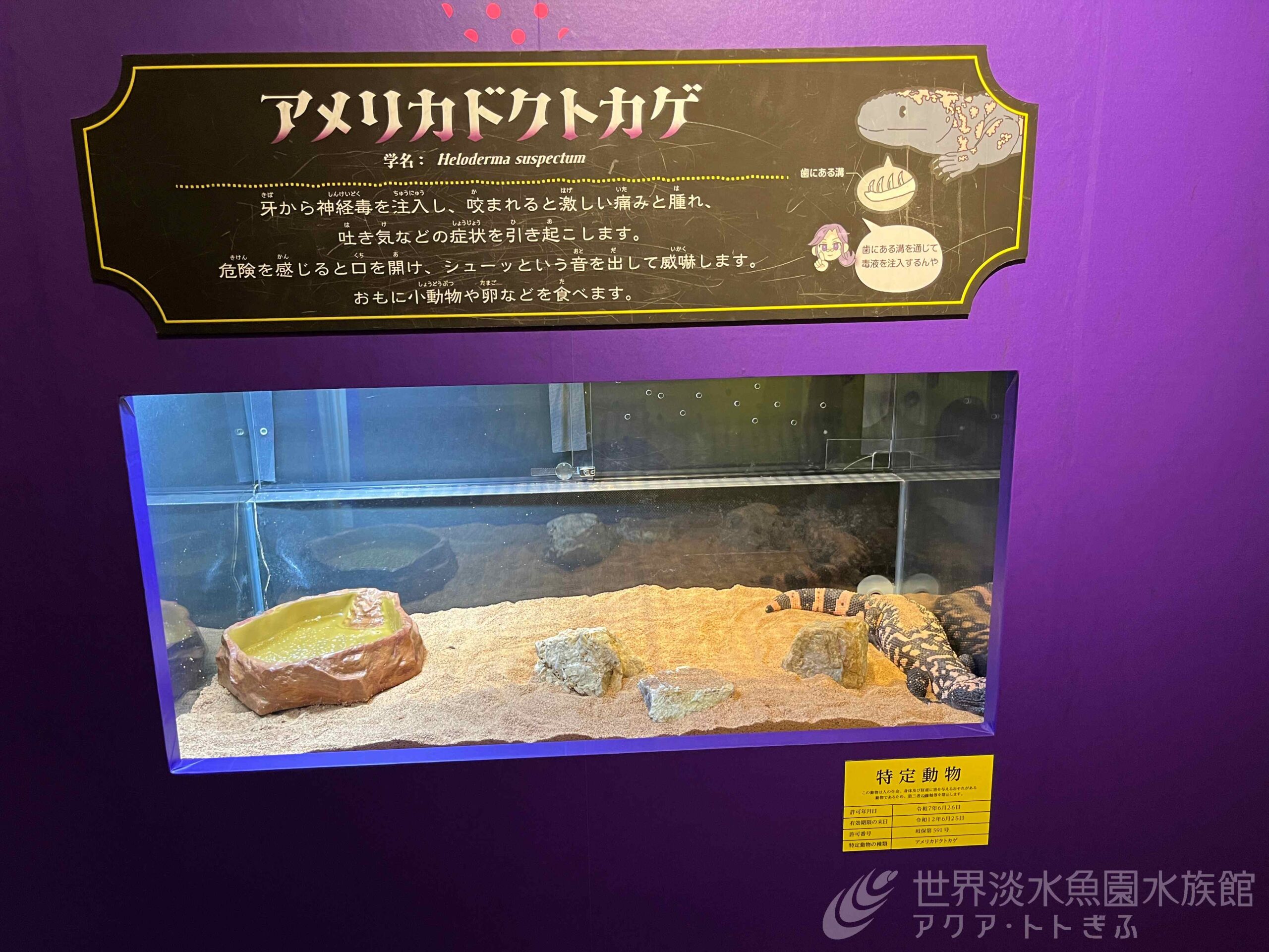 特定動物ってなあに？（企画展裏話②）｜世界淡水魚園水族館 アクア