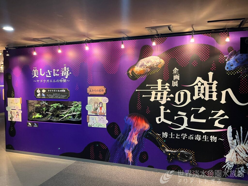 力作のイラストたち（企画展裏話③）