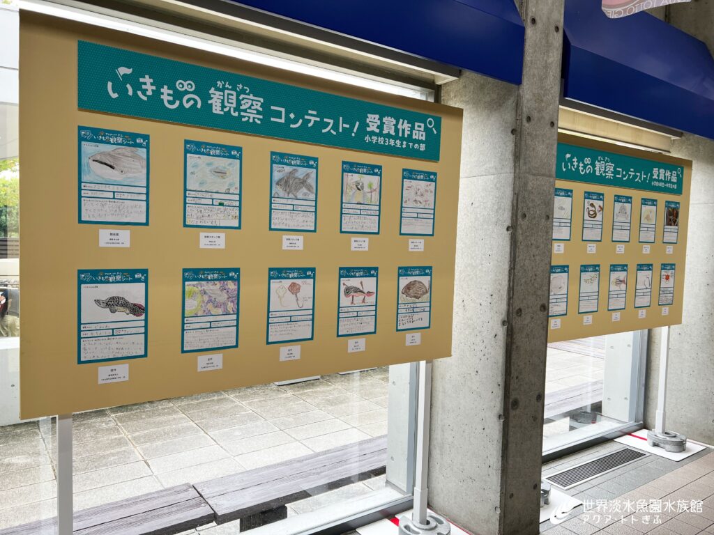 いきもの観察コンテスト！　受賞作品を展示