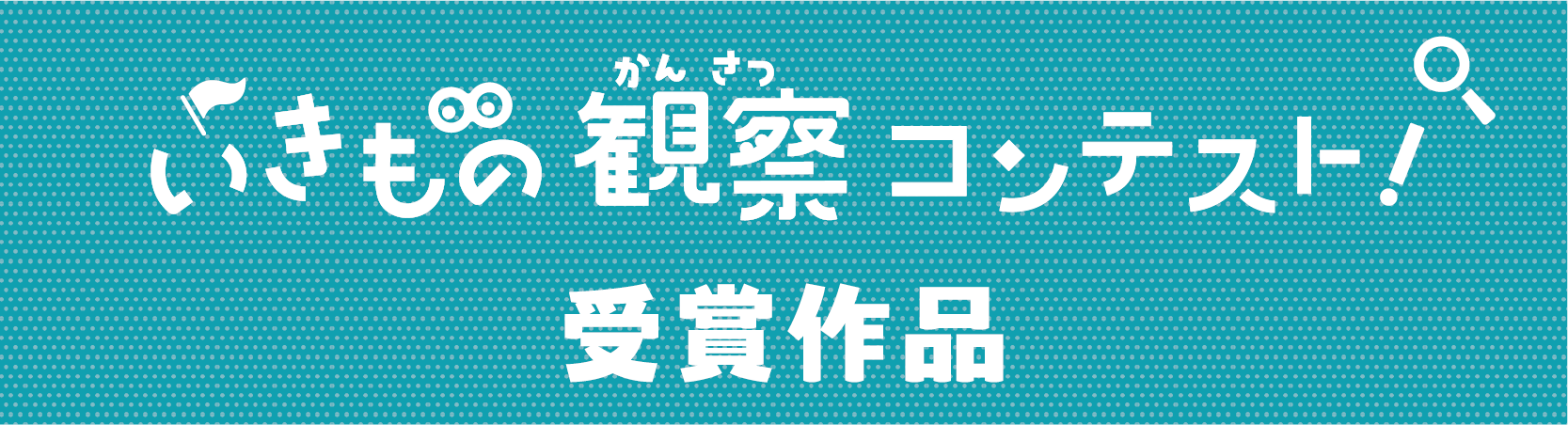 いきもの観察コンテスト! 受賞作品を展示