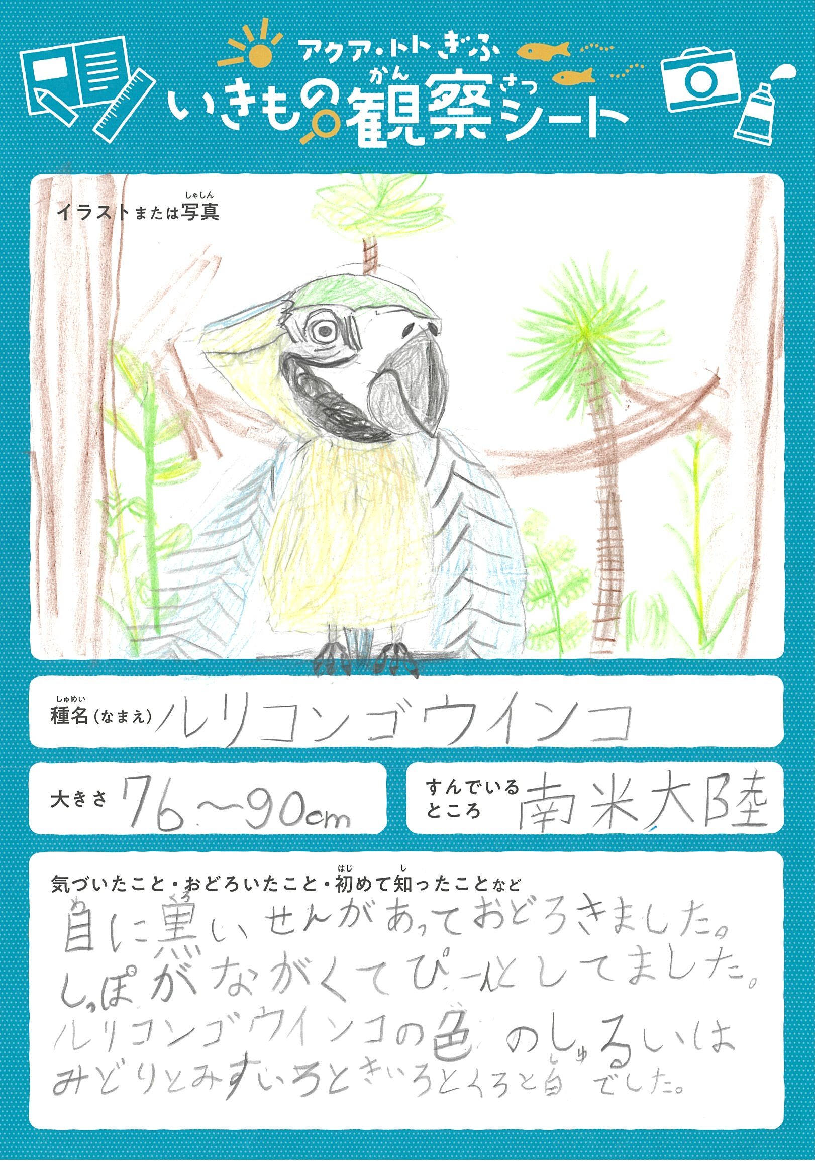 平松 愛梨