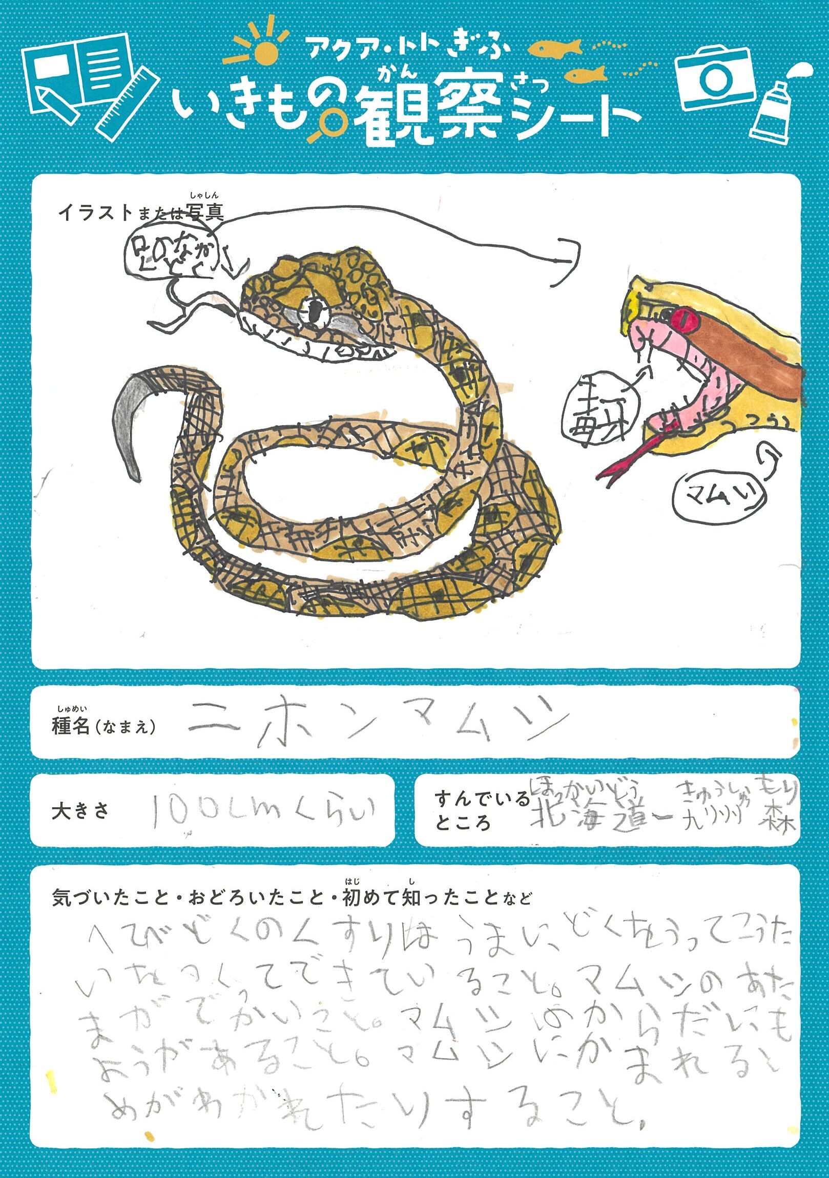 東 晄希