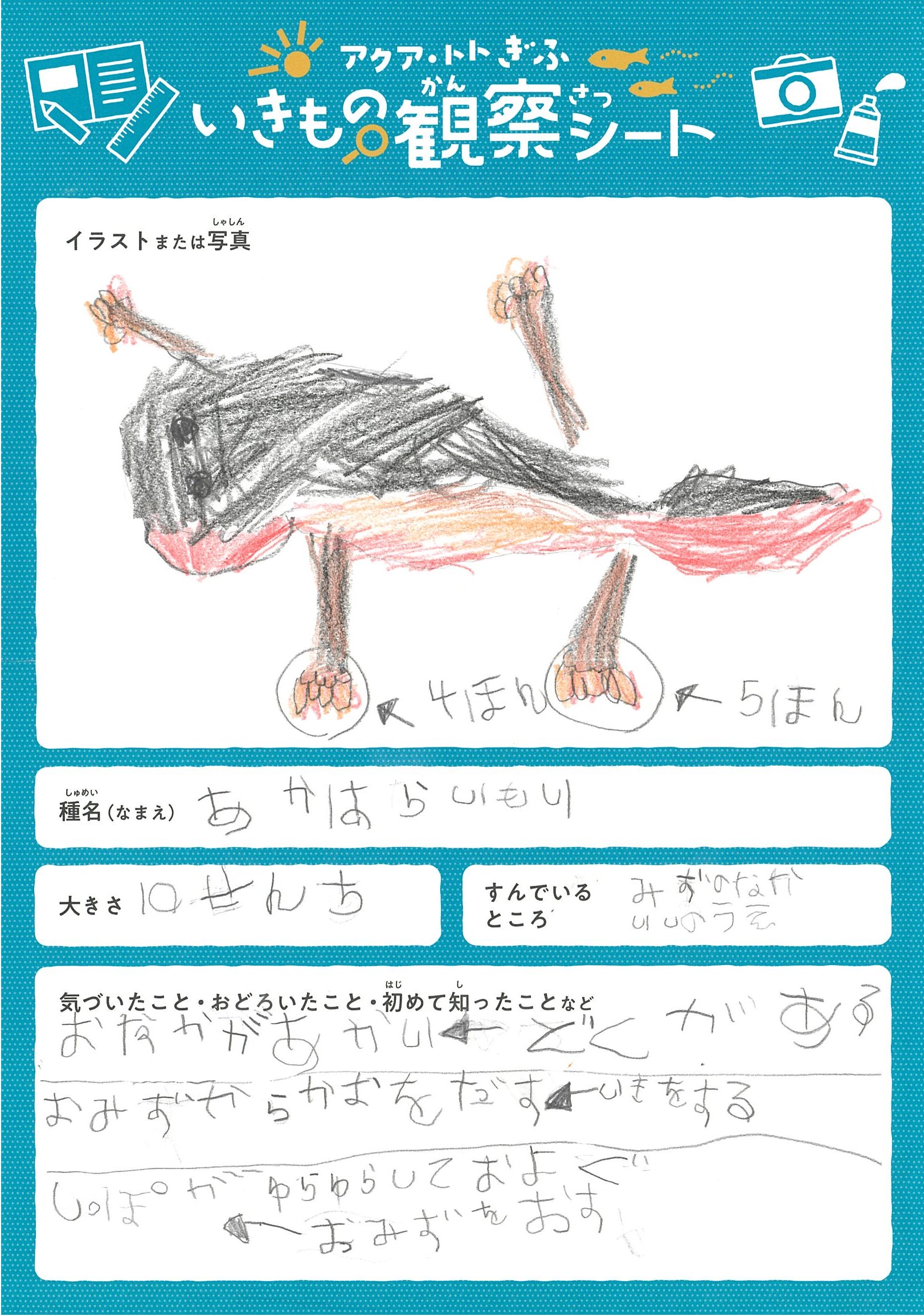 奥村 心晴