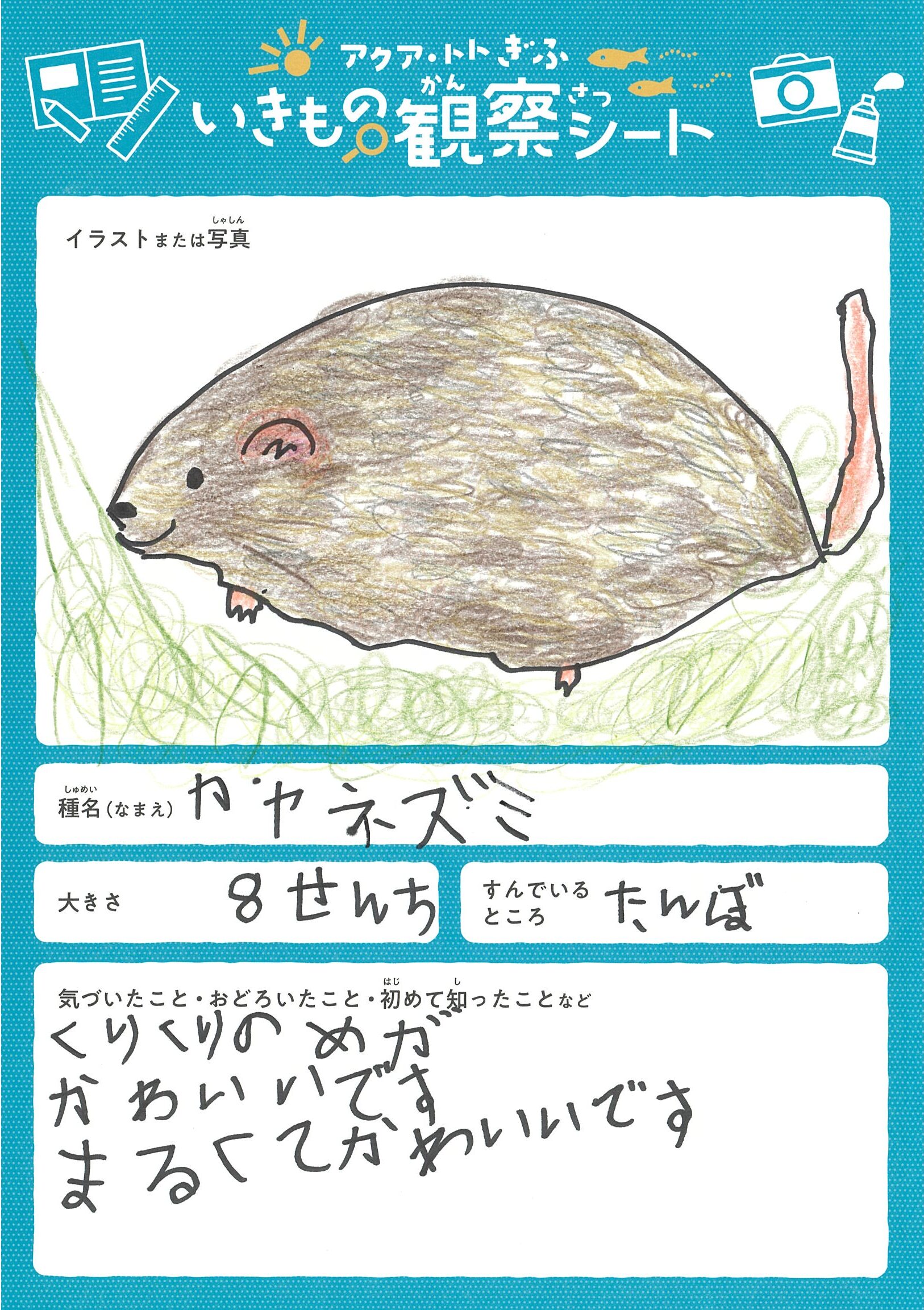 金原 叶歩