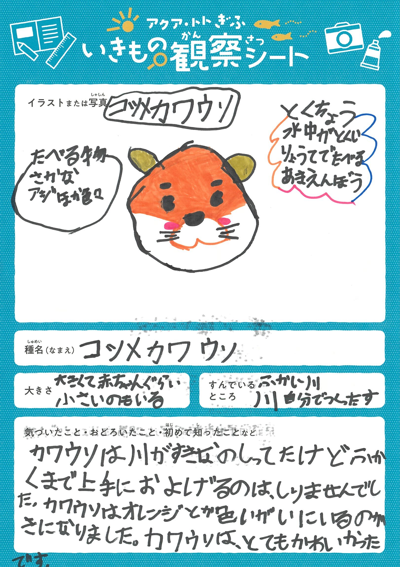 斉藤 明穂