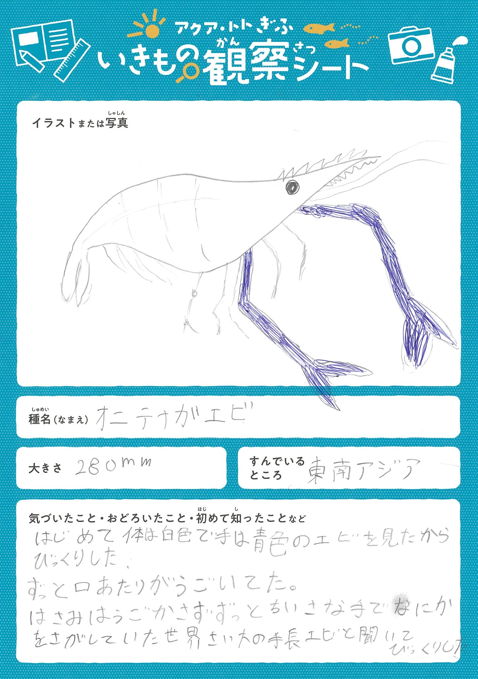 中西 織都