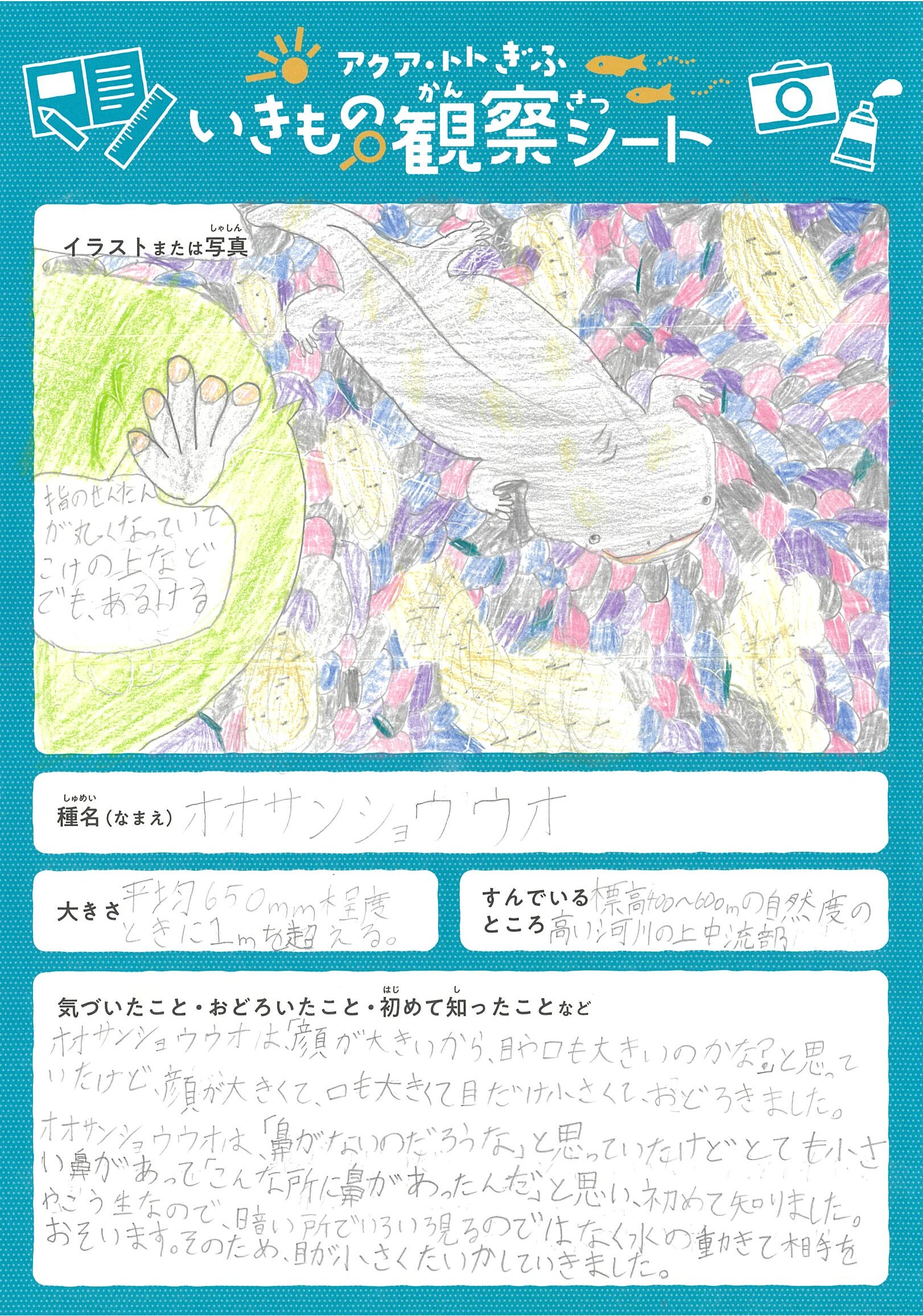 脇田 莉瑚