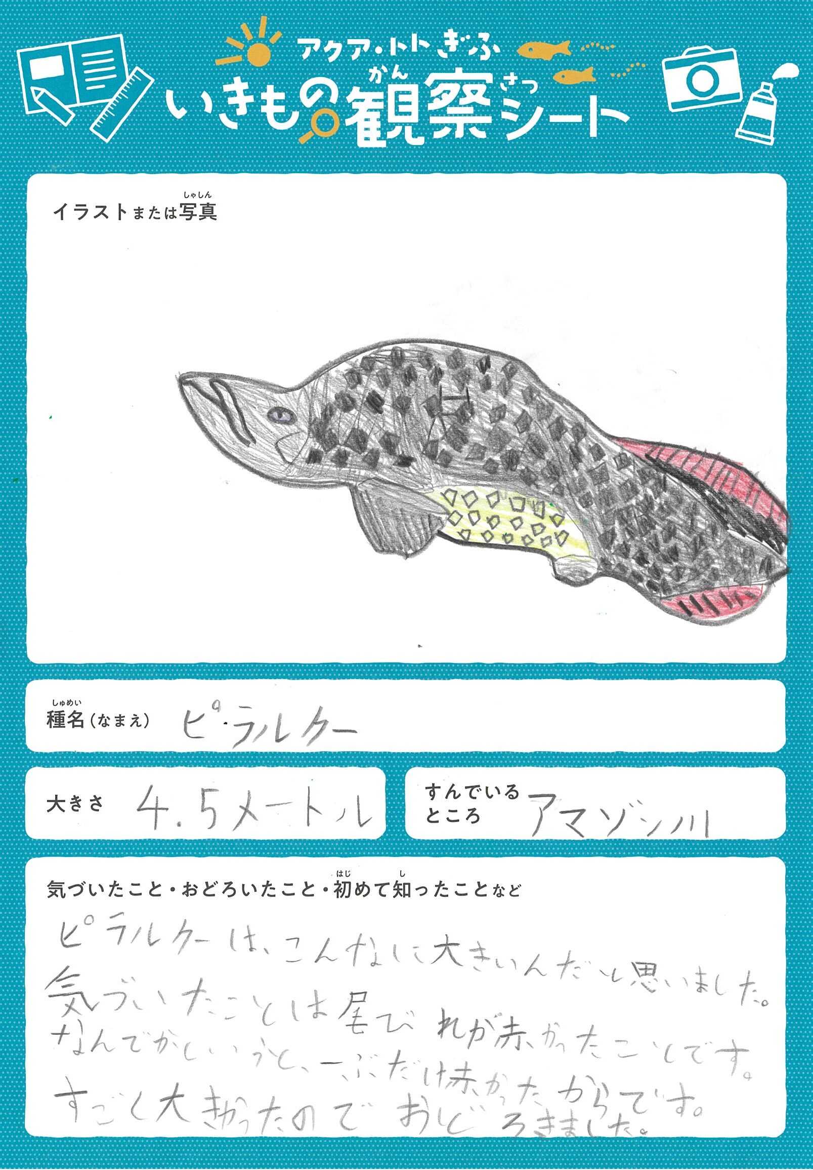 脇海道 充人