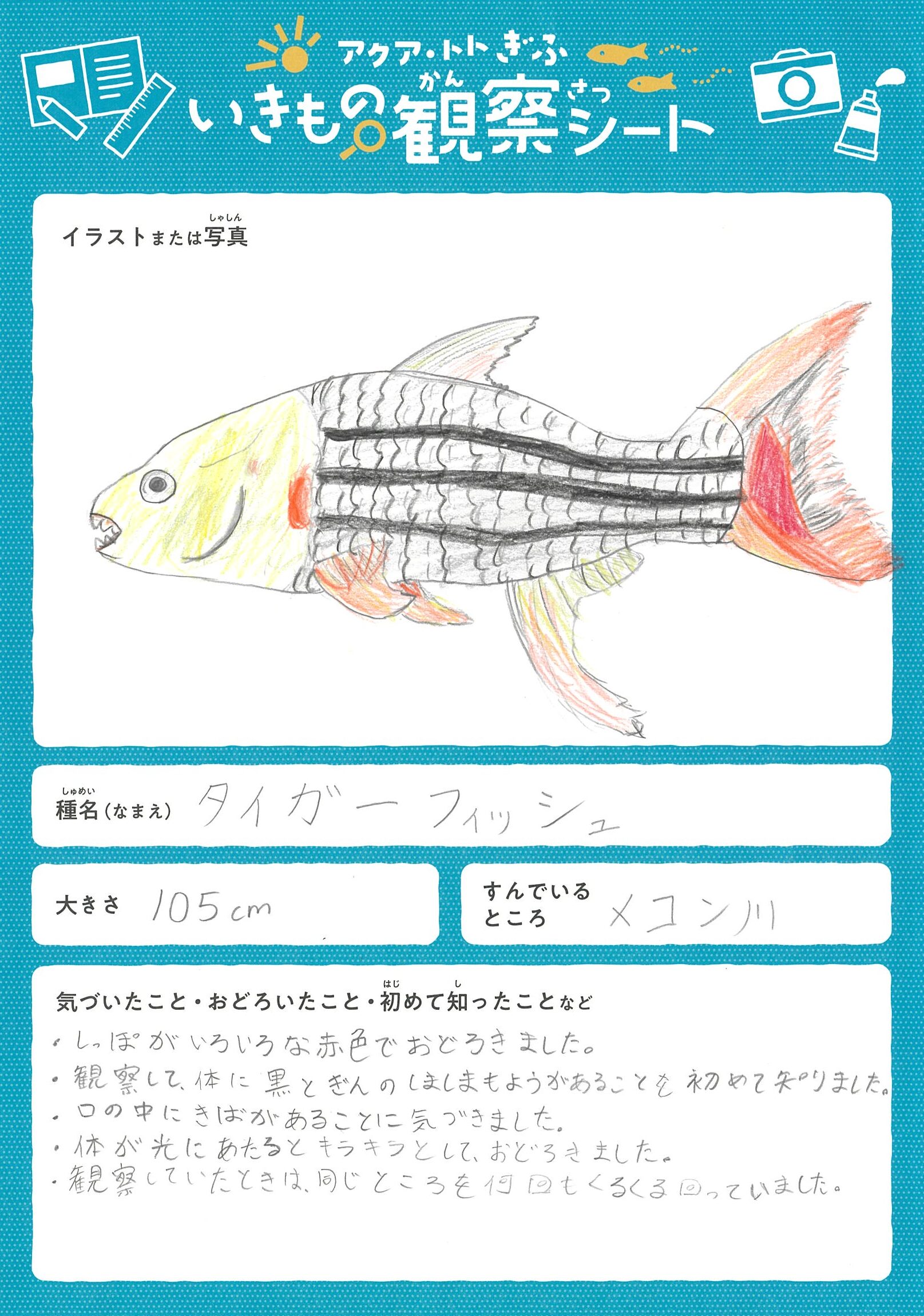 三谷 心望花