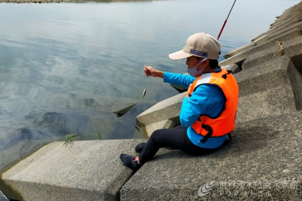 釣りに挑戦！