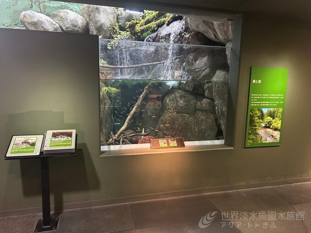 飼育スタッフおすすめの生き物たちpart2