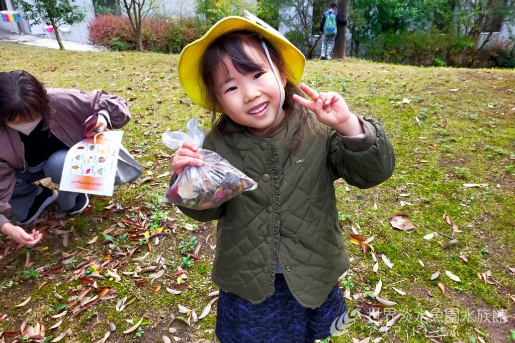 どんぐりおちばあそび