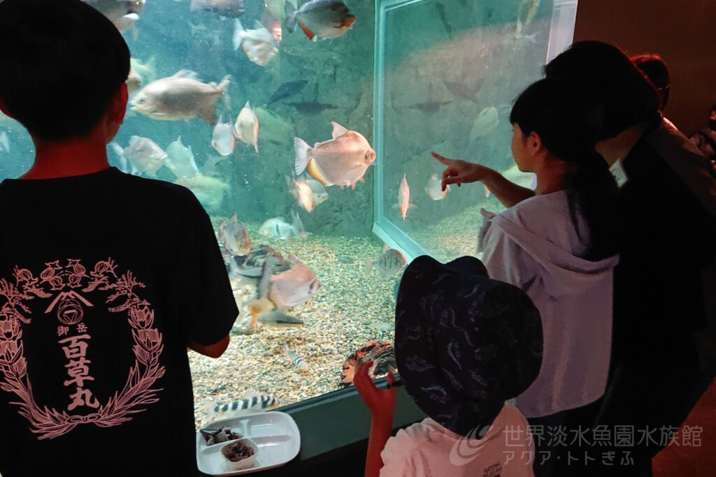 飼育係体験（大人向け）
