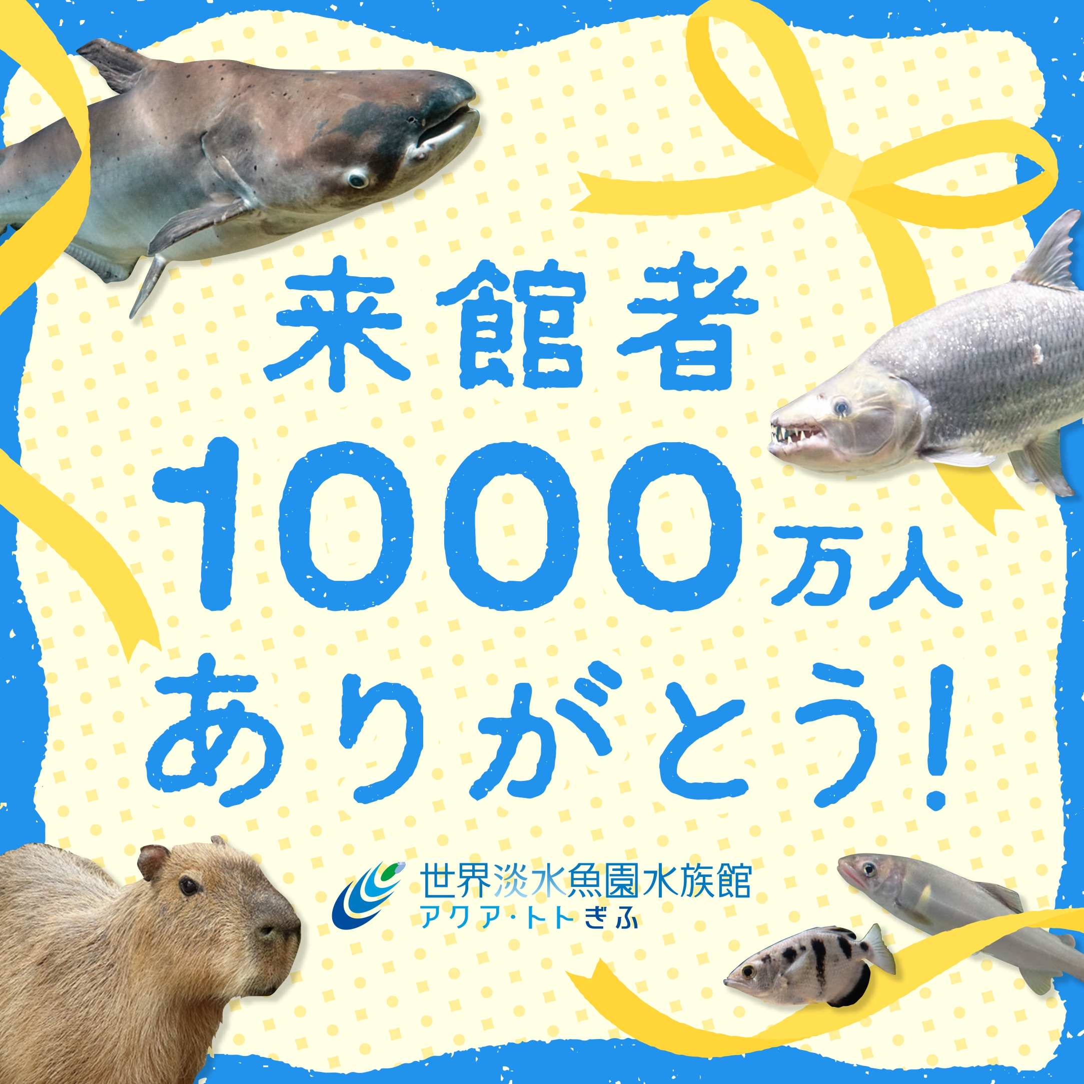 アクア・トト ぎふ『来館者1000万人ありがとう！』｜世界淡水魚園