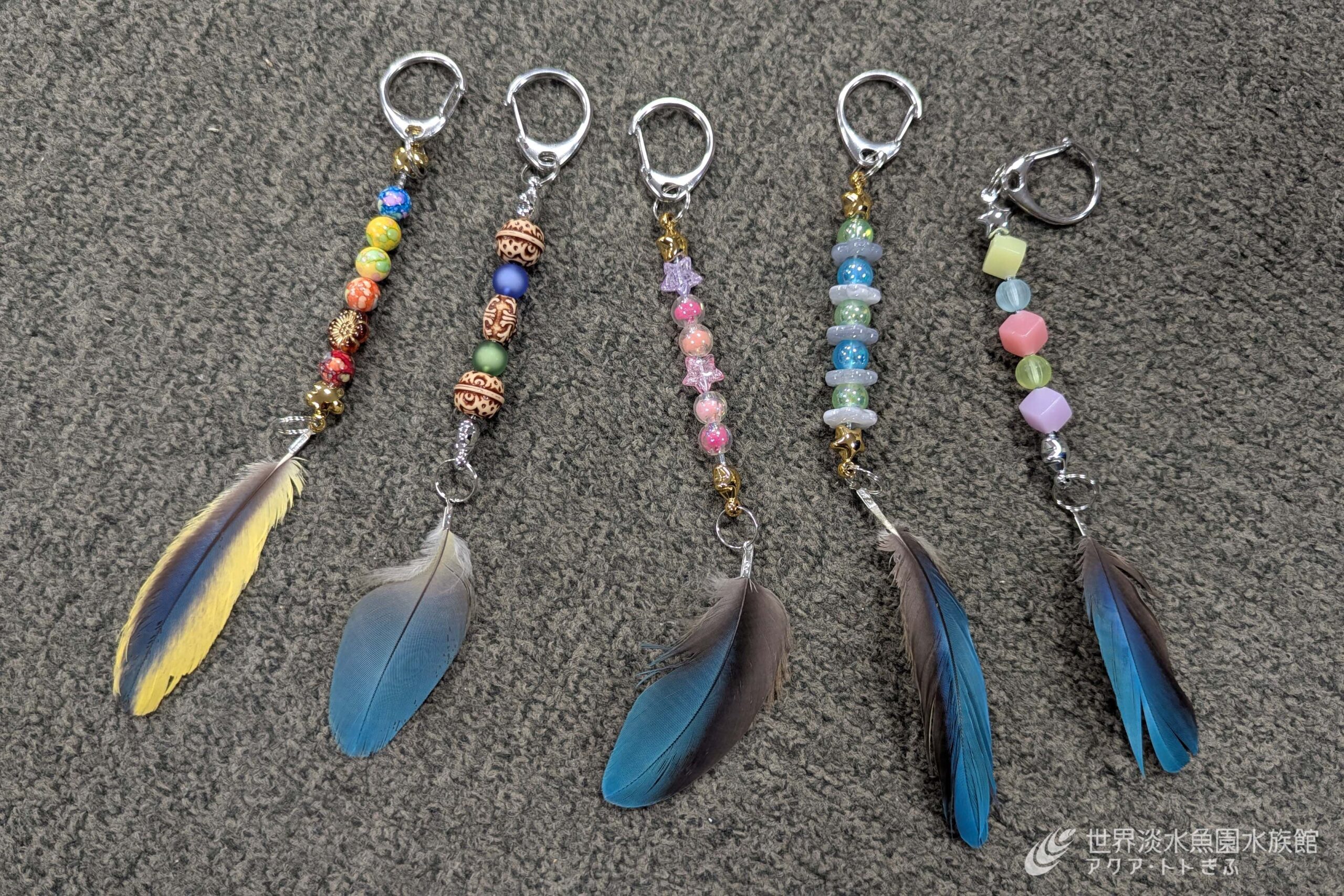 いいインコの日」イベント開催！｜世界淡水魚園水族館 アクア・トト