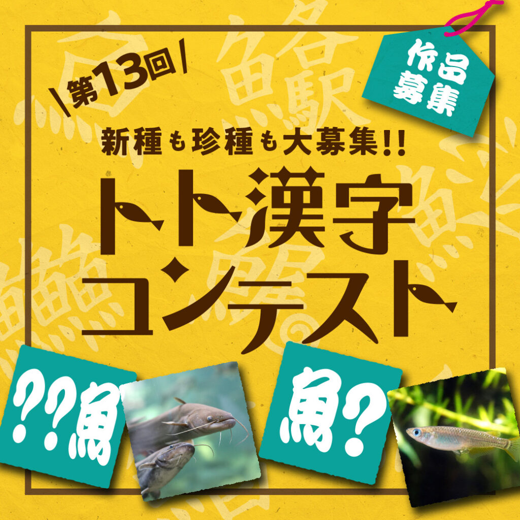 作品募集！第13回トト漢字コンテスト
