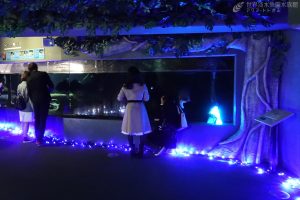 2人で楽しむ　クリスマスの夜の水族館