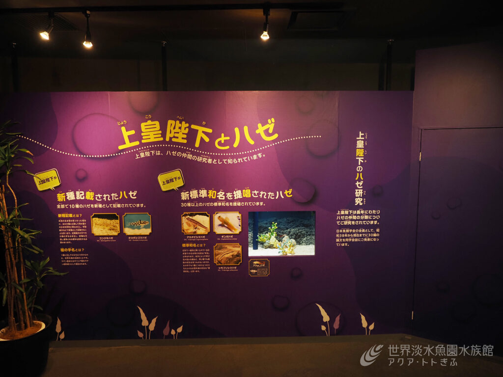 今日は「ハゼの日」