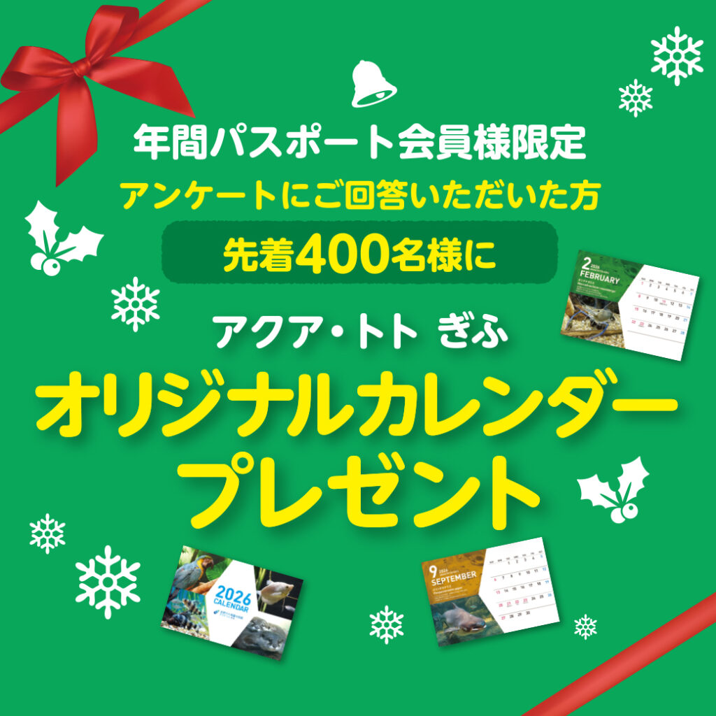 アンケートに答えるとカレンダープレゼント！