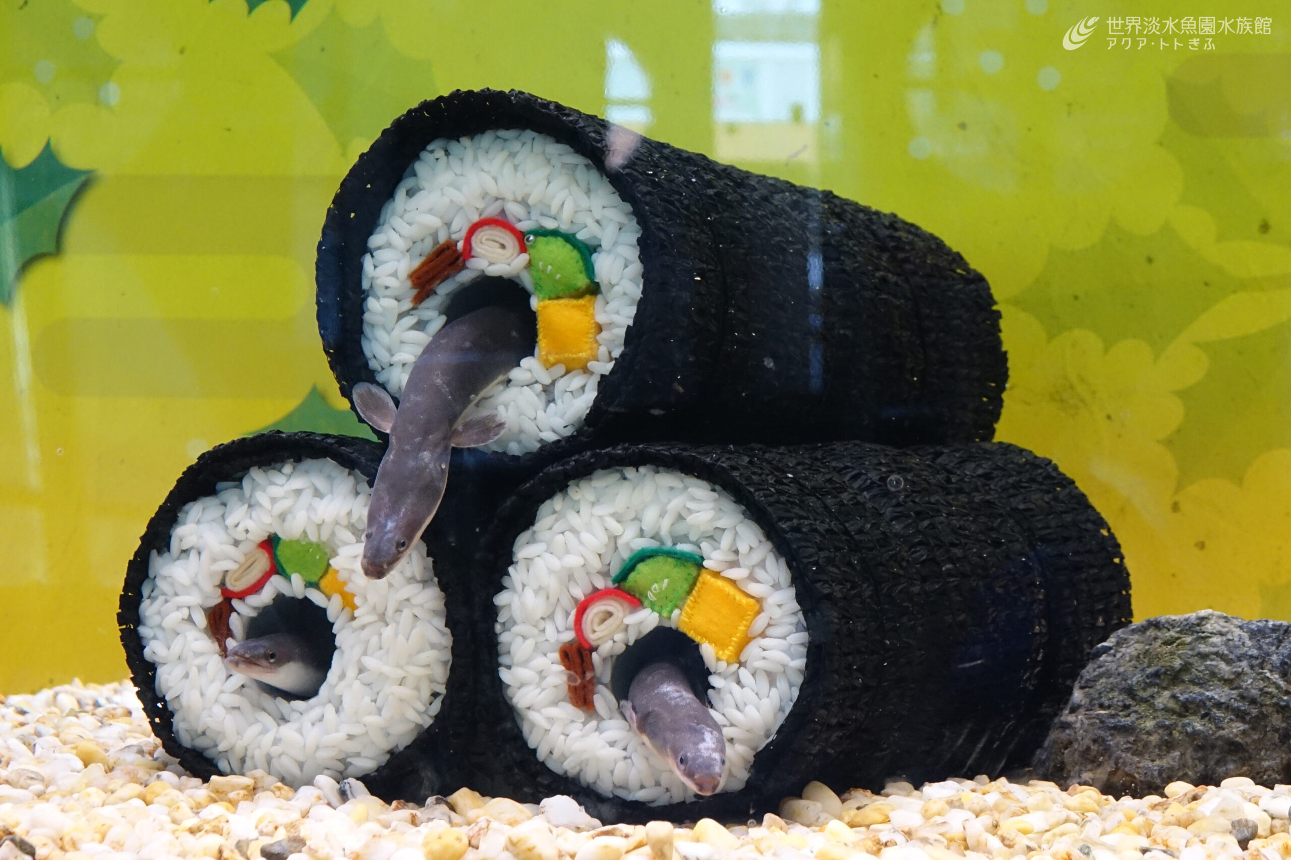 テーマ水槽『福を呼ぶ！ウナギの恵方巻』