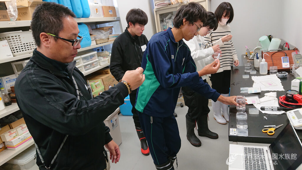 飼育係体験（大人向け）