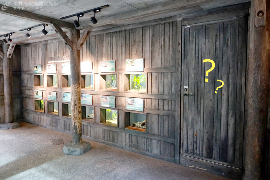 アクア・トト ぎふ　ひみつの扉ツアー