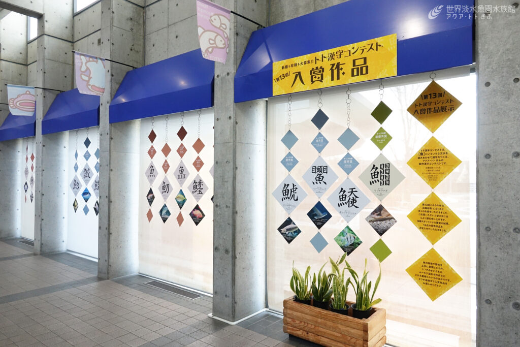 第13回トト漢字コンテスト　受賞作品発表！