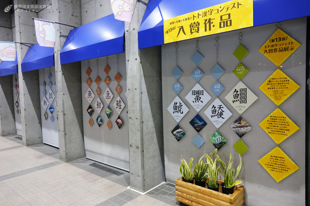 第13回トト漢字コンテスト　受賞作品発表！