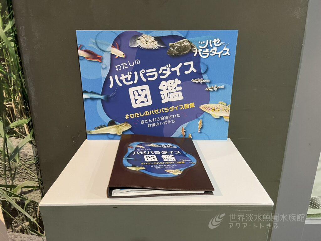 ハゼ展イベント「わたしのハゼパラダイス図鑑」開催中！