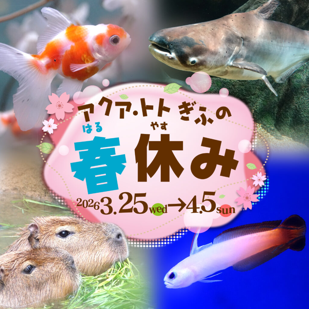 アクア・トト ぎふの春休み